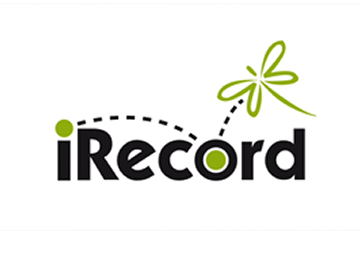 iRecord 360x600