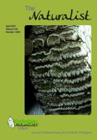 Naturalist_1094