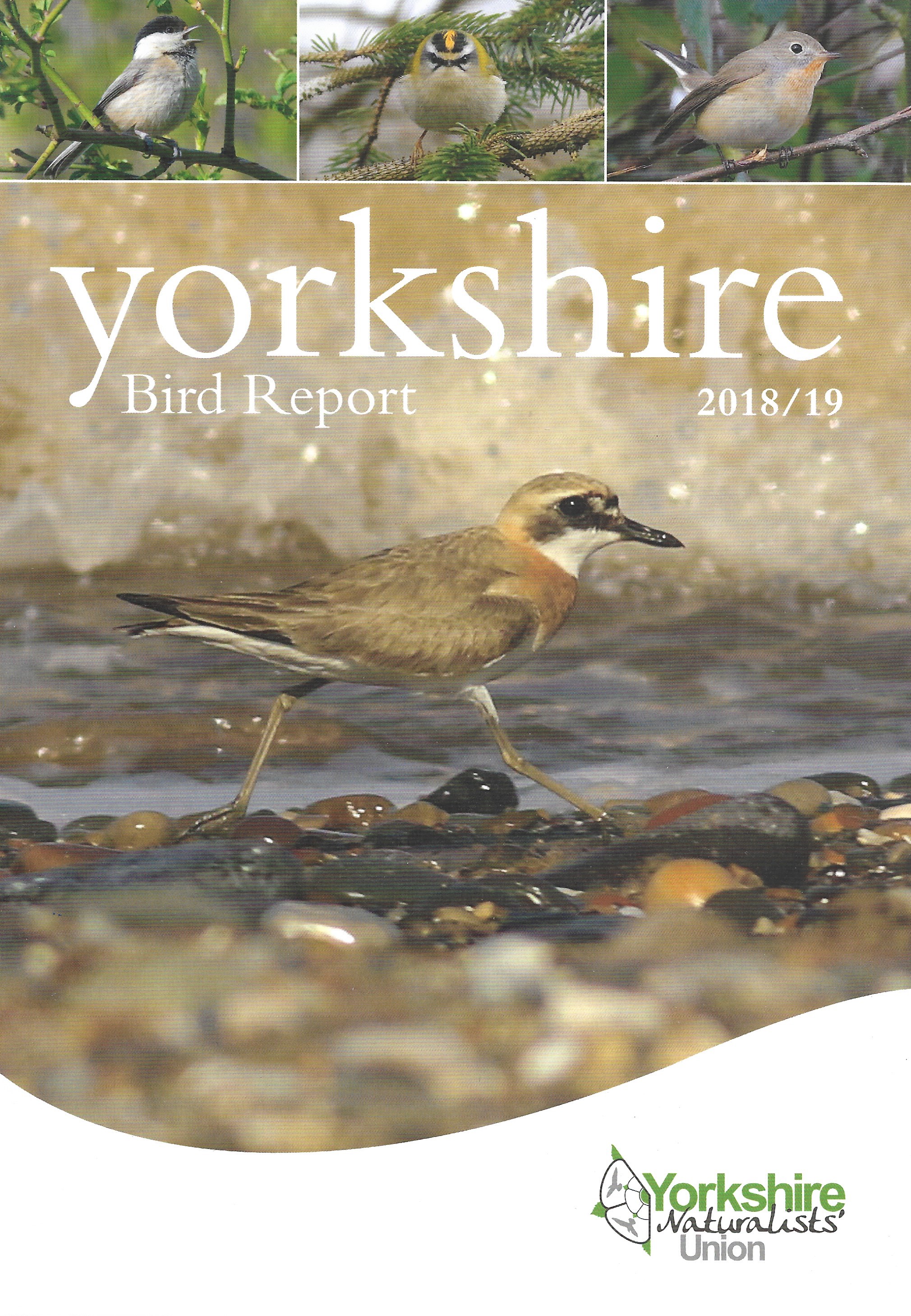 2018-19_FrontCover.jpg - 1.96 MB